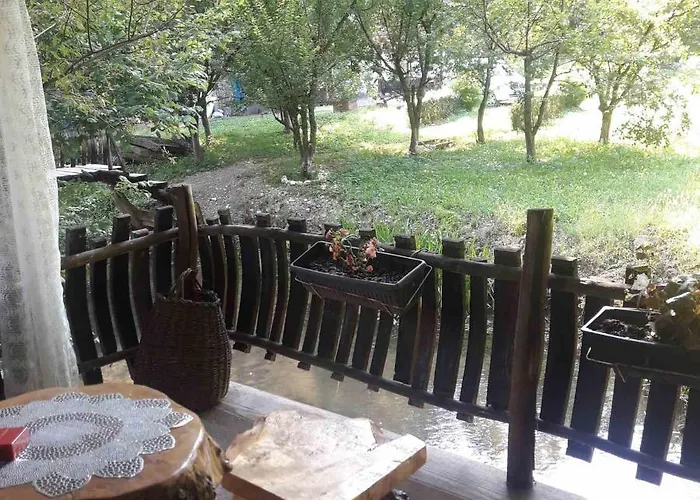 Sljivik Lantställe Ni