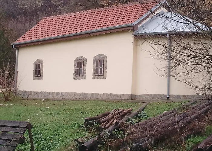 Sljivik Lantställe Ni