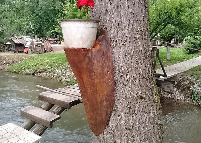 Lantställe Sljivik Ni